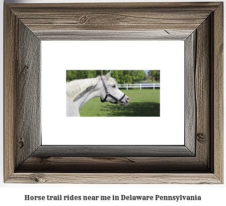 horse trail rides near me in Delaware, Pennsylvania